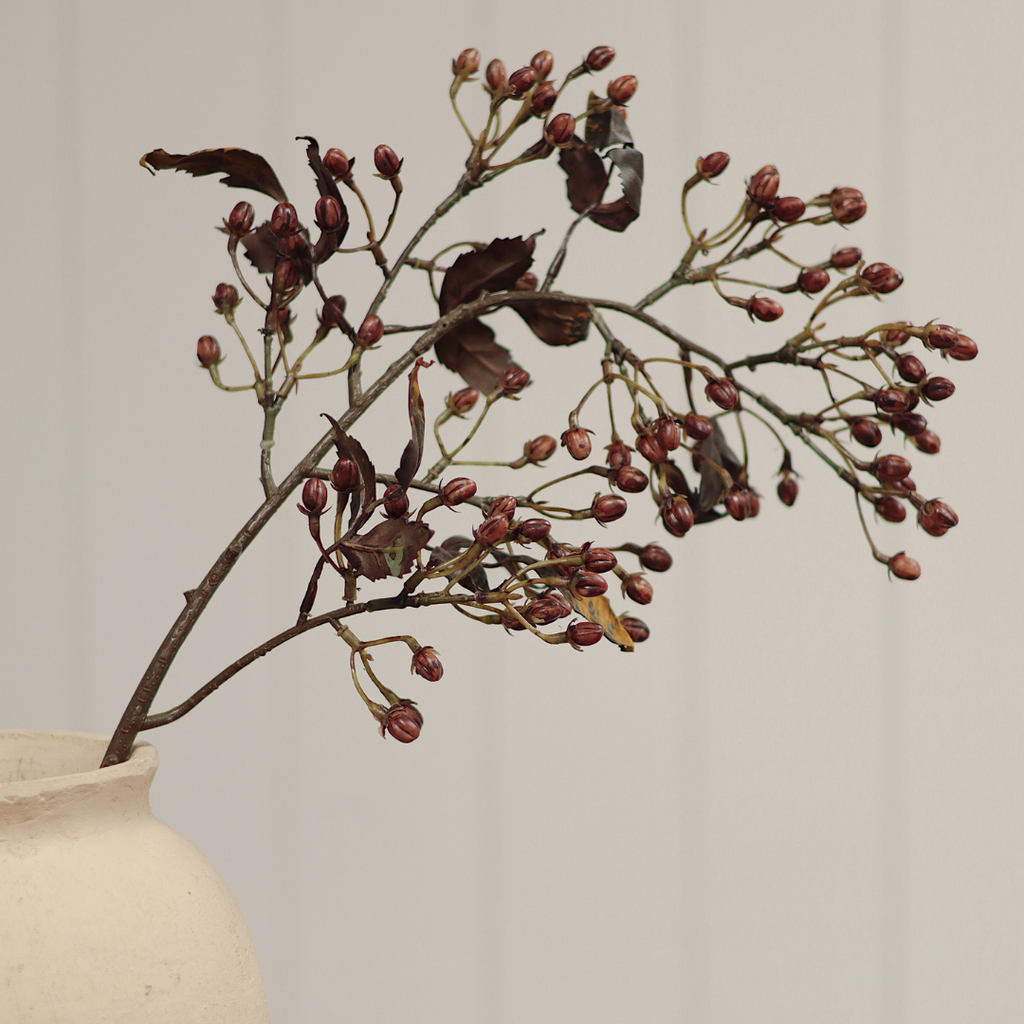Hipericum Stem - 33"H
