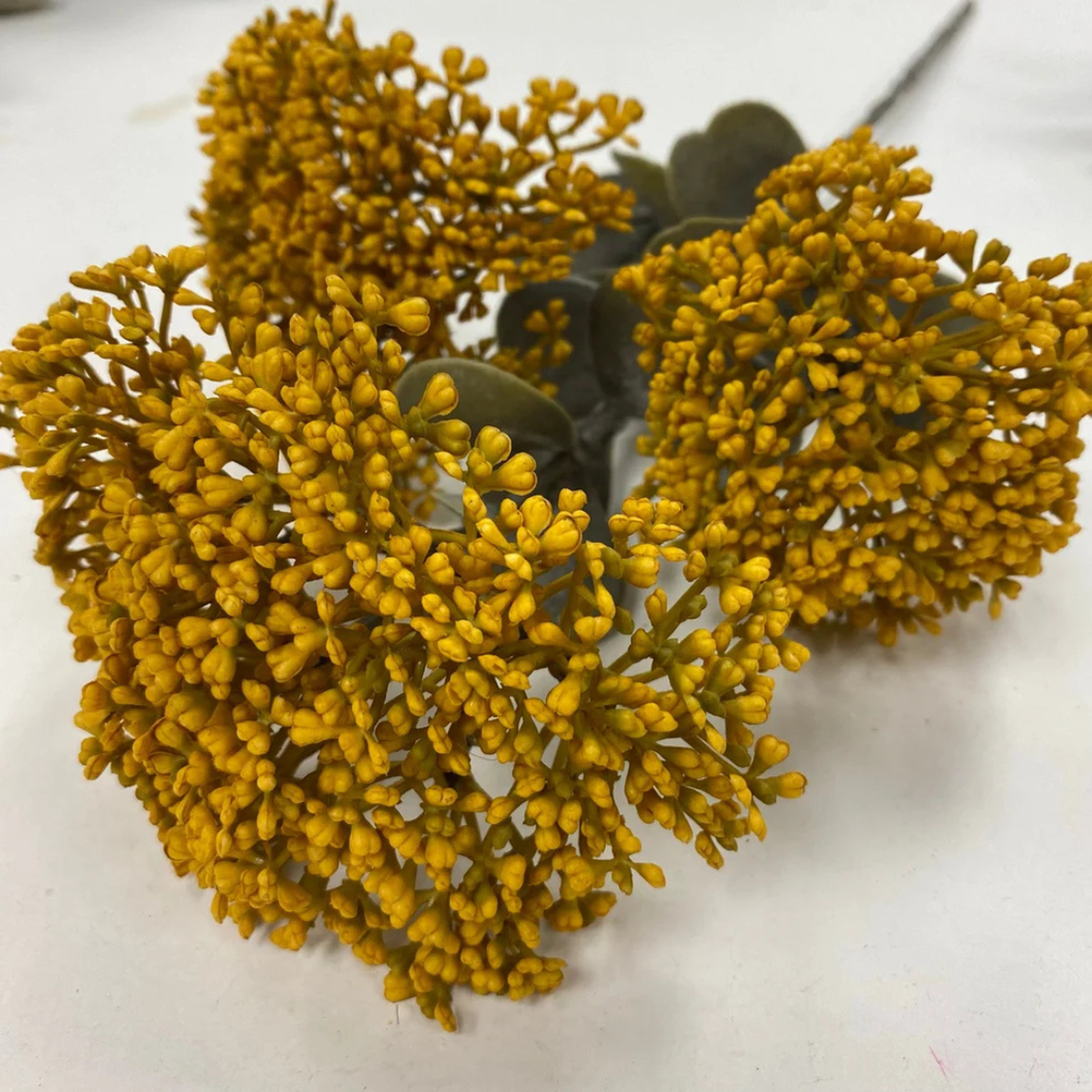 Seedum Stem - Mustard