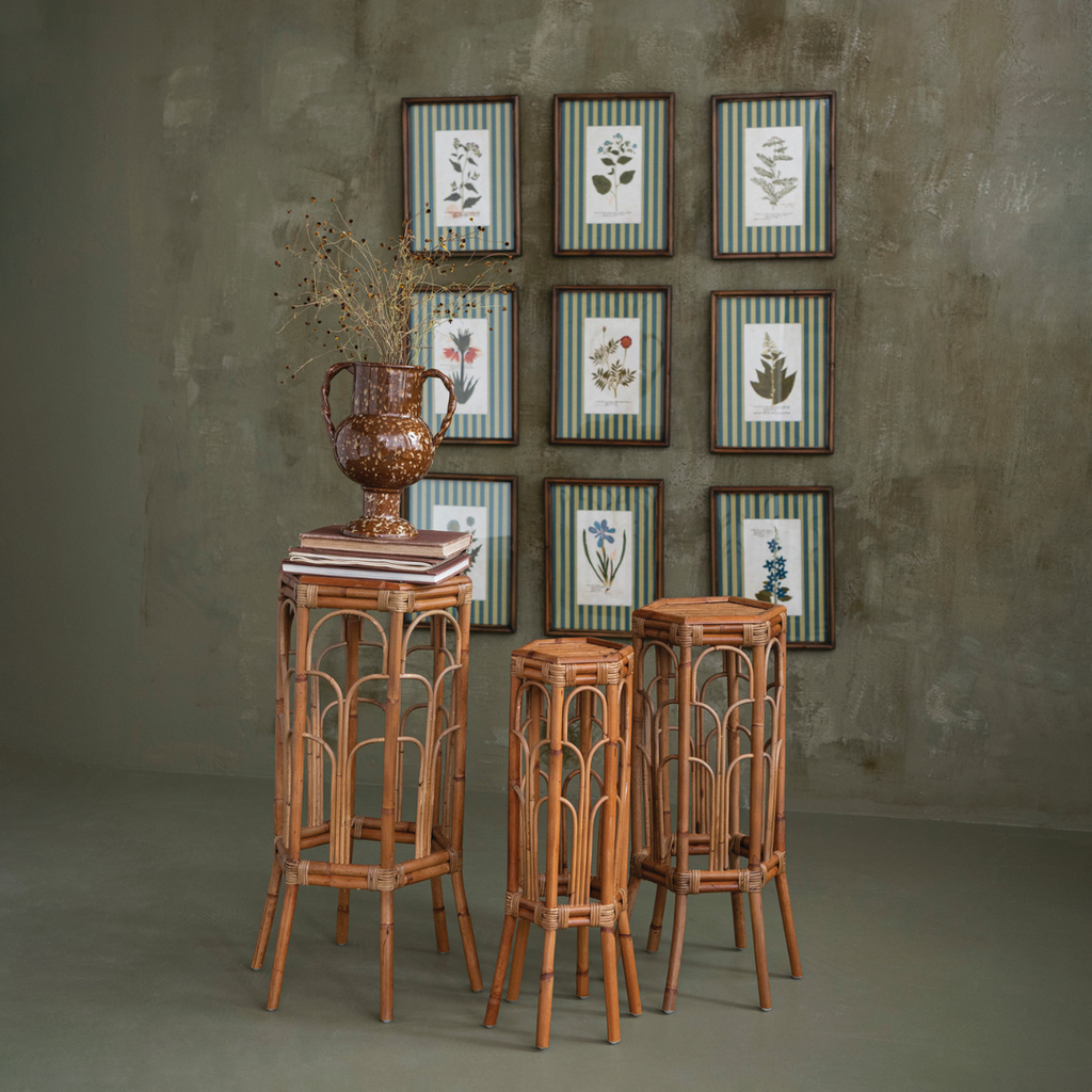 Framed Stripe Botanical Prints - Nine Styles Available