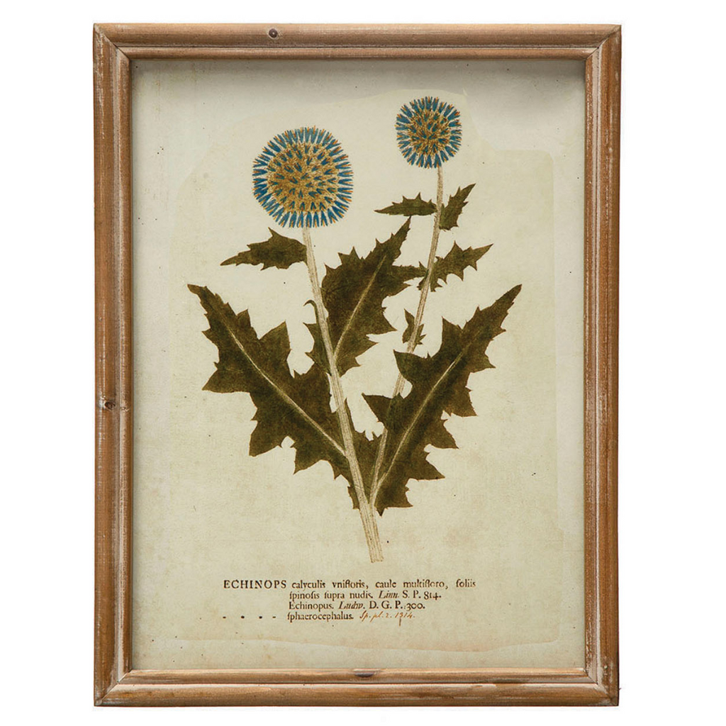 Framed Wildflower Prints - Six Styles Available