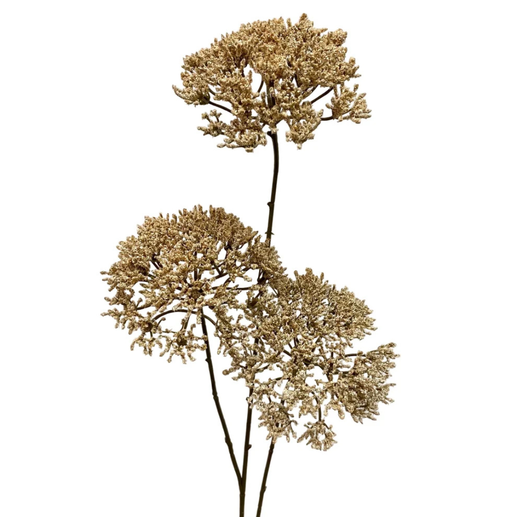Queen Anne's Lace Stem (Two Colours Available)