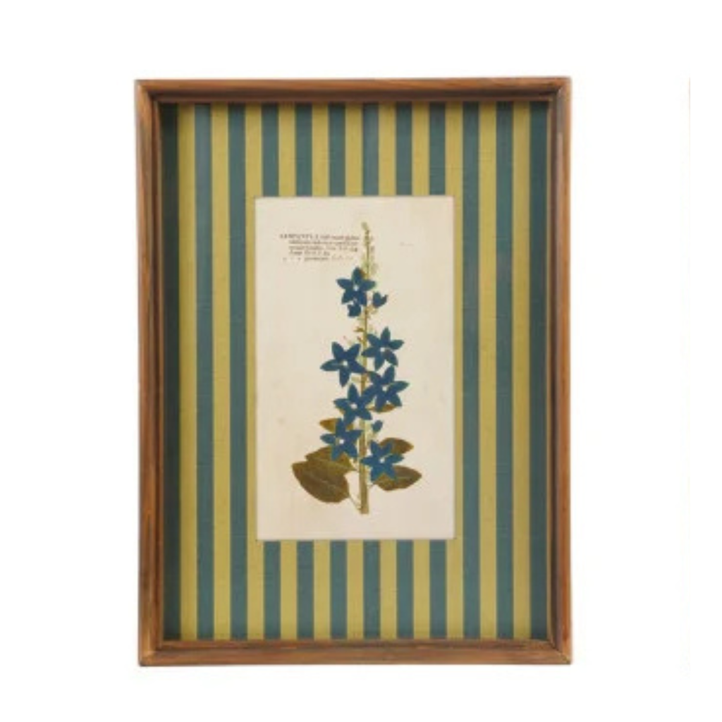 Framed Stripe Botanical Prints - Nine Styles Available
