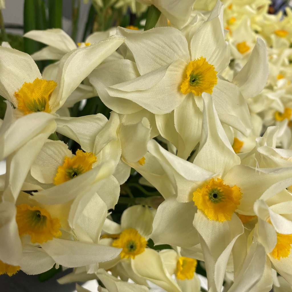 Narcissus Stem (Two Colours Available)