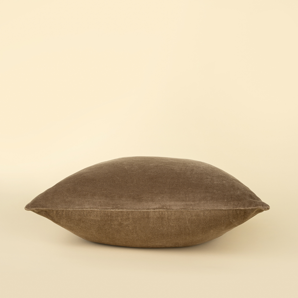 Vera Luxe Velvet Pillow - Birch  (20" x 20")