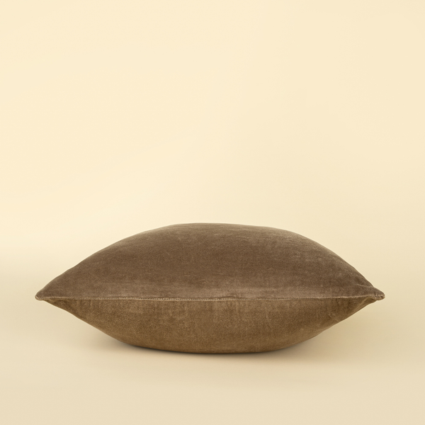 Vera Luxe Velvet Pillow - Birch  (20" x 20")