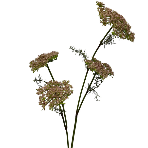 Queen Anne's Lace Stem (Two Colours Available)