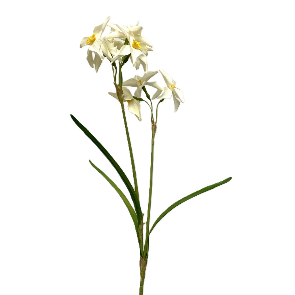 Narcissus Stem (Two Colours Available)