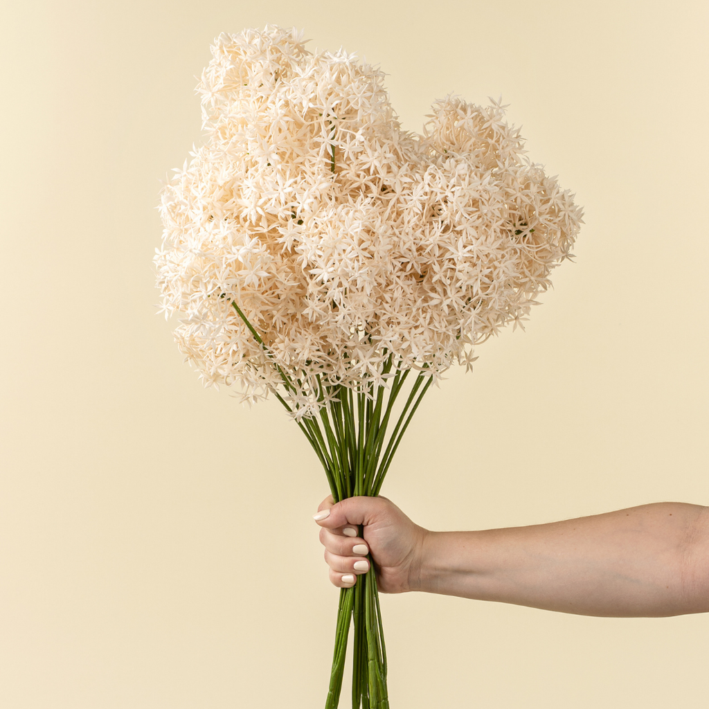 Allium Floral Stem - Cream