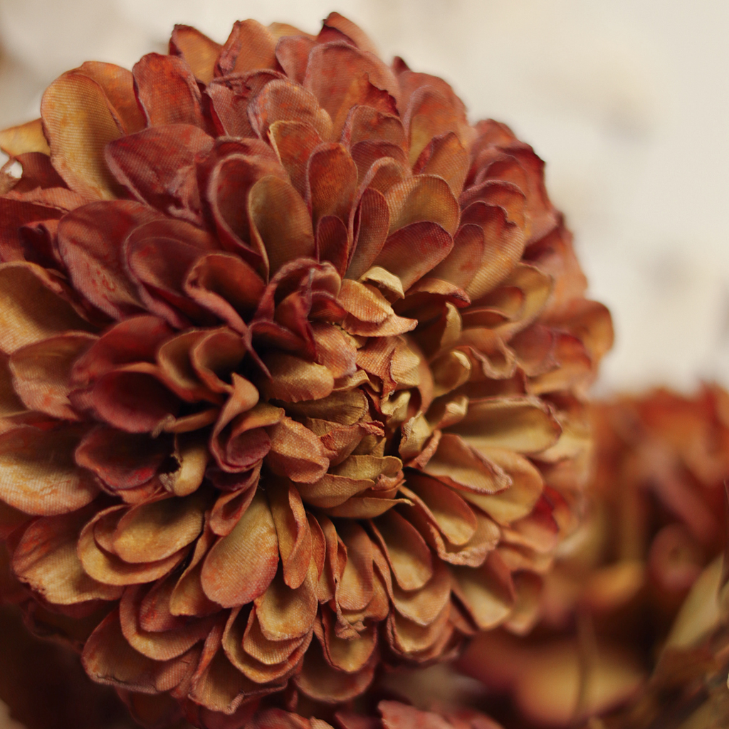 Pompom Dahlia Stem - 28"H