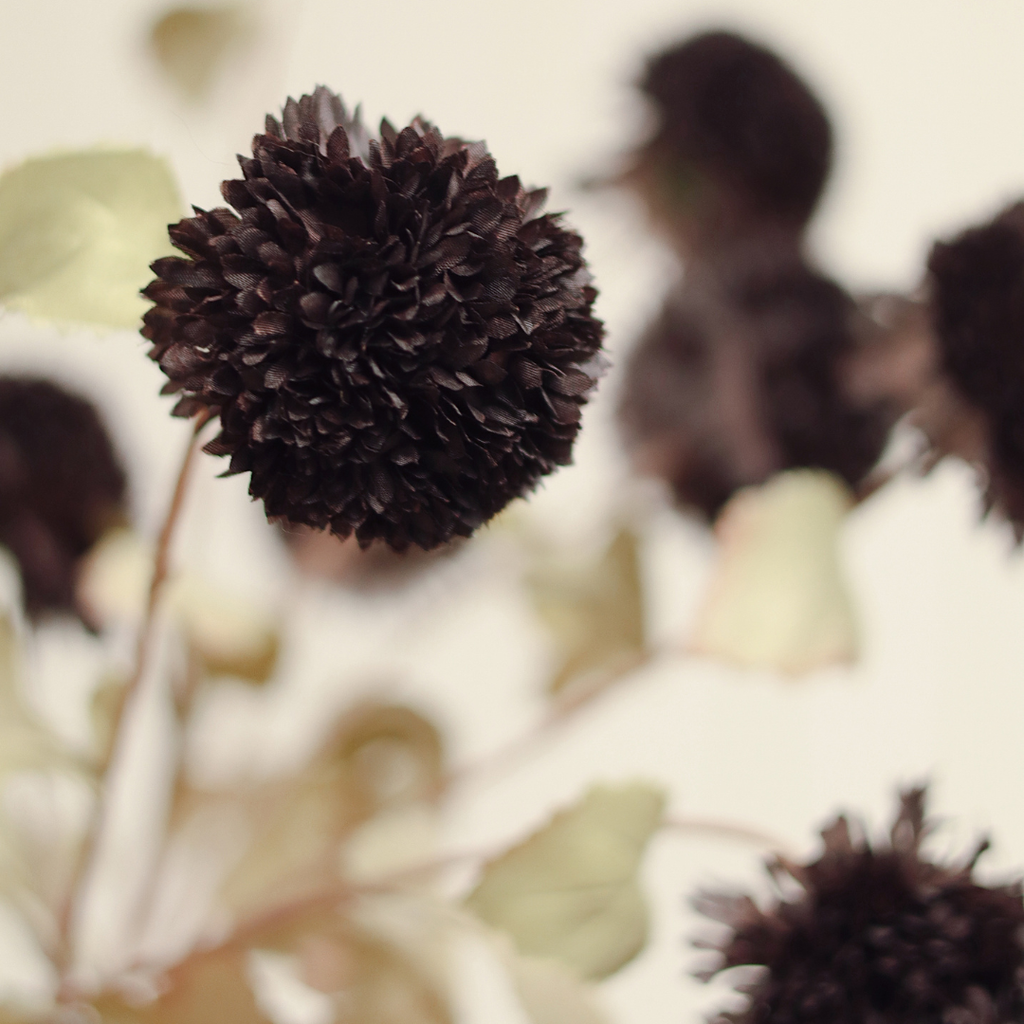 Pom Pom Floral Stem - 30"H