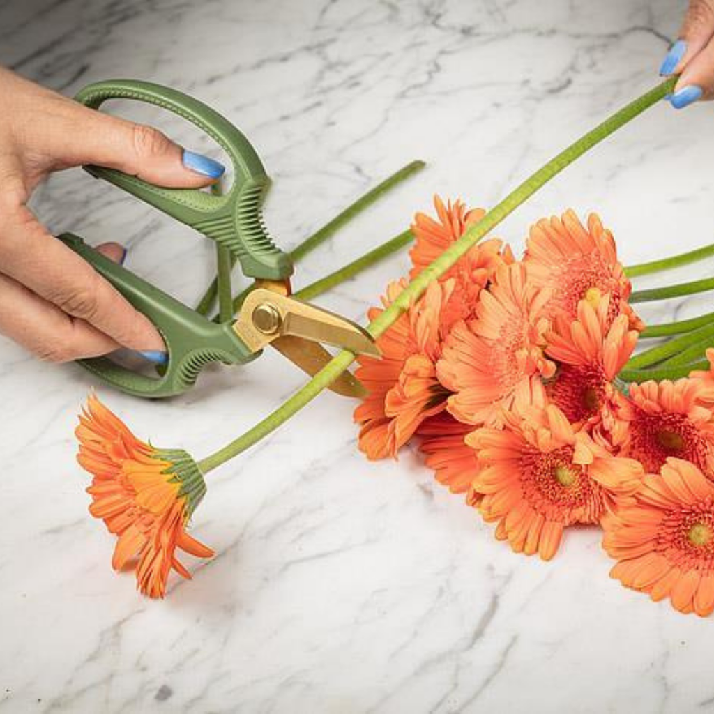 Short Blade Floral Snips