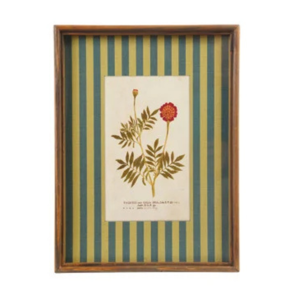 Framed Stripe Botanical Prints - Nine Styles Available