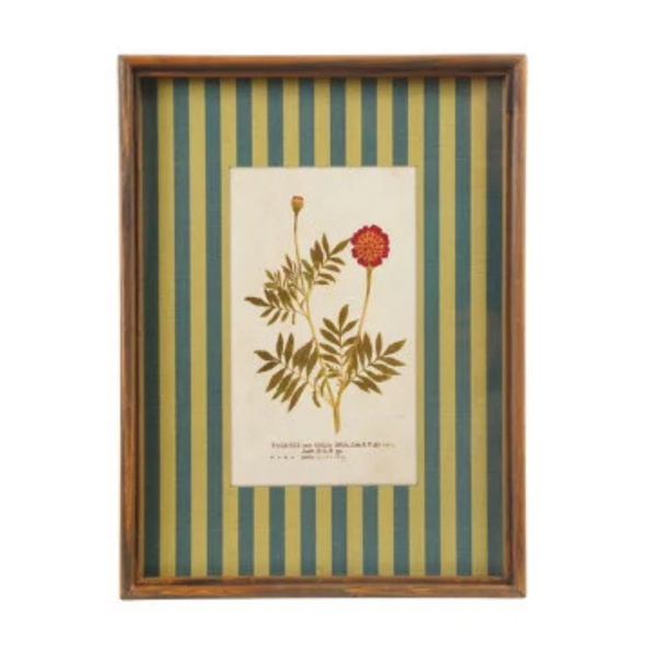 Framed Stripe Botanical Prints - Nine Styles Available