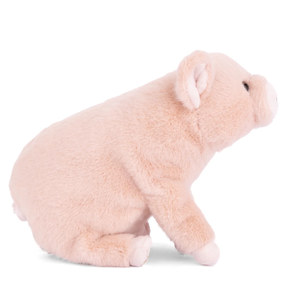 Sweet Oink