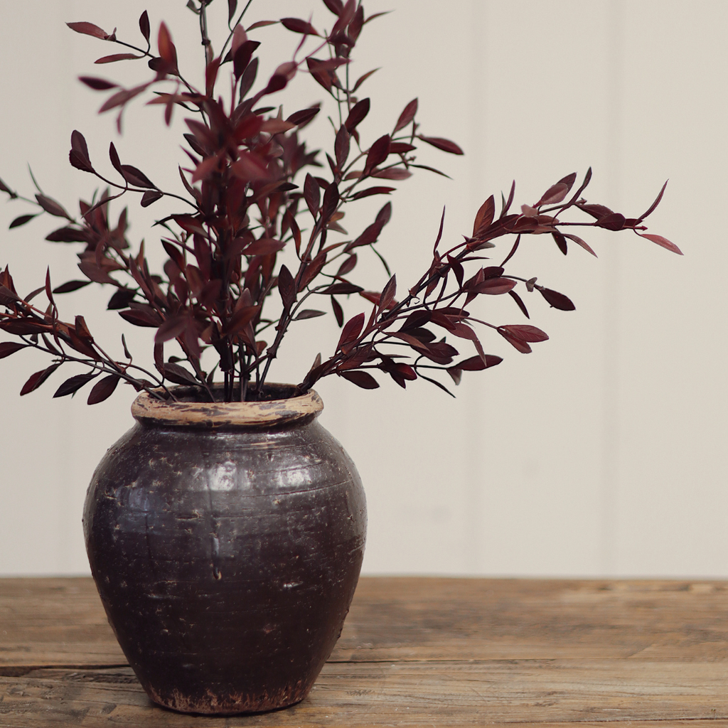 Willow Leaf Stem - 18"H (Two Colours Available)