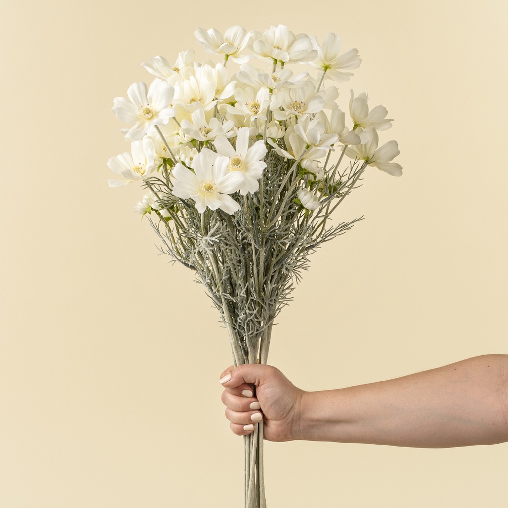 White Cosmos Stem - 24"H
