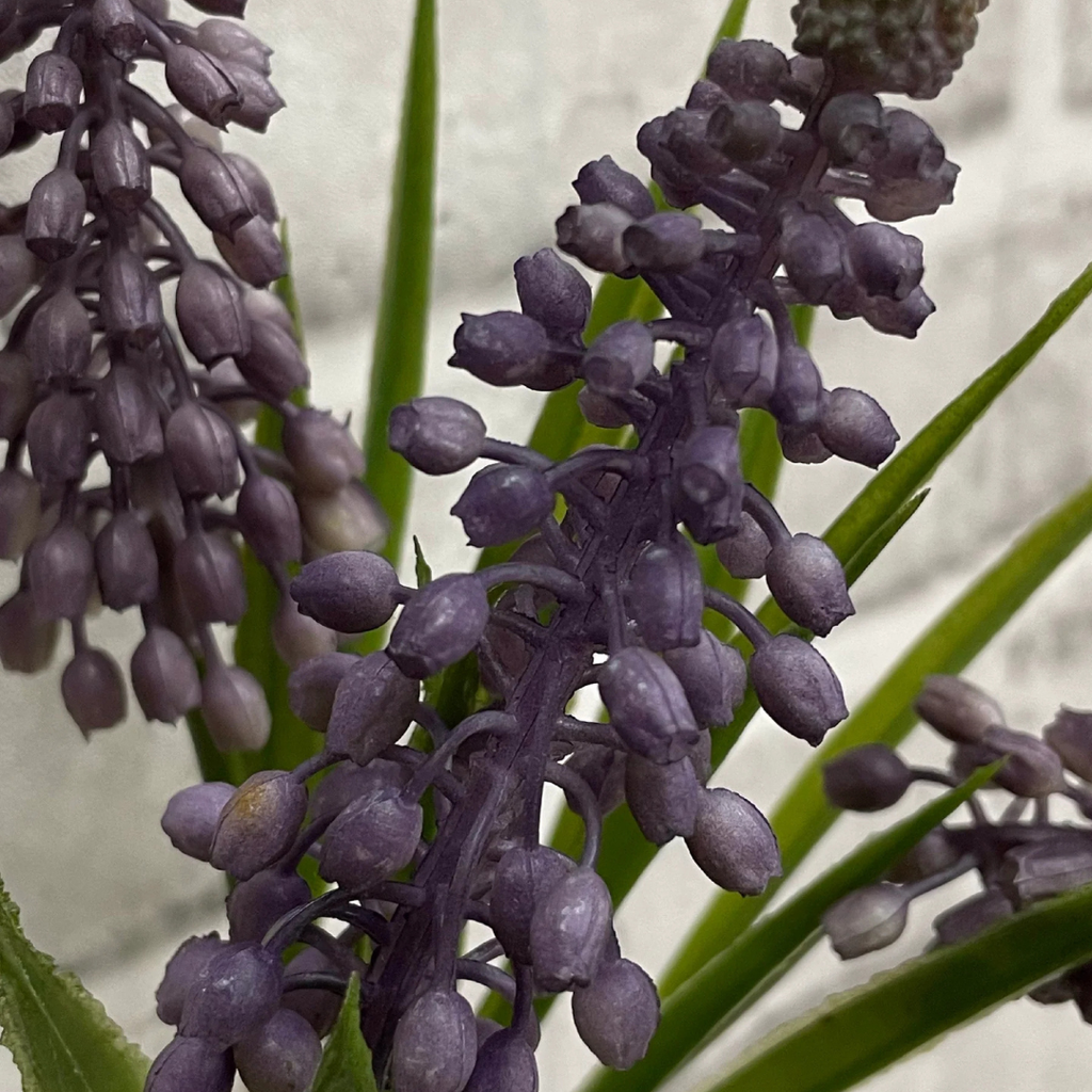 Lavender Muscari Stem Bundle - 10.5"H