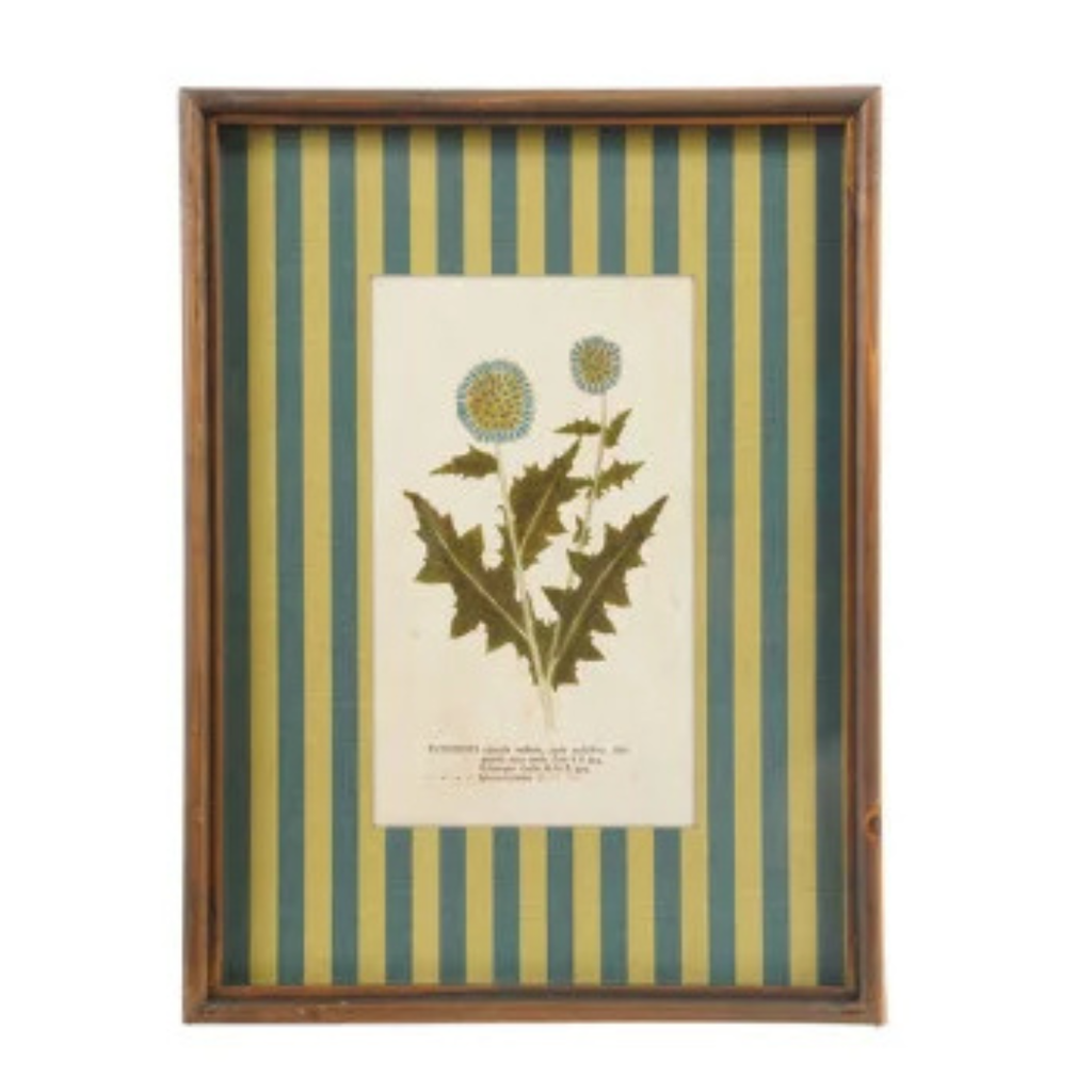Framed Stripe Botanical Prints - Nine Styles Available