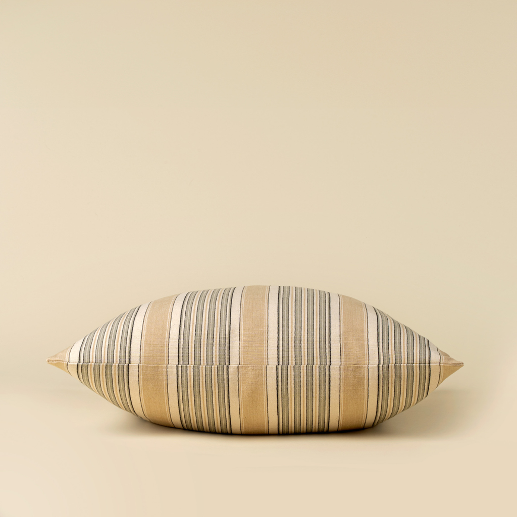 Beatrice Stripe Pillow - 20" x 20"