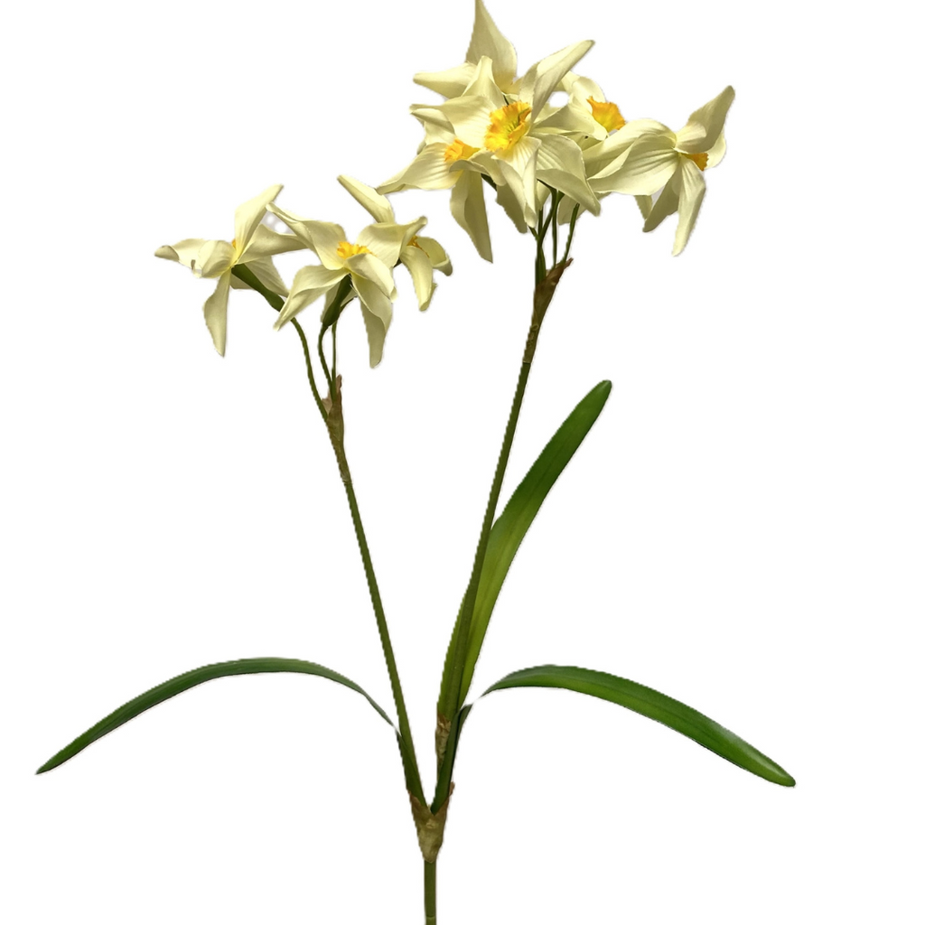 Narcissus Stem (Two Colours Available)