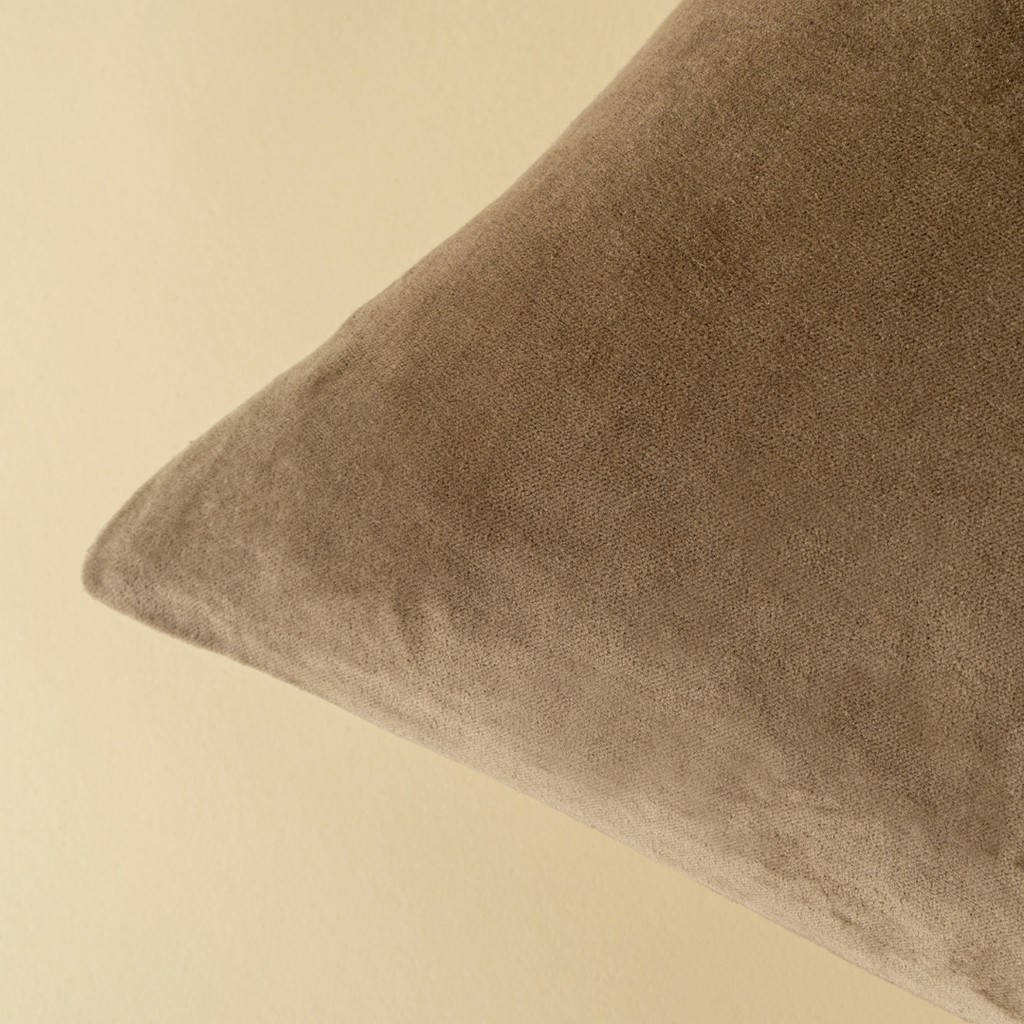 Vera Luxe Velvet Pillow - Birch  (20" x 20")