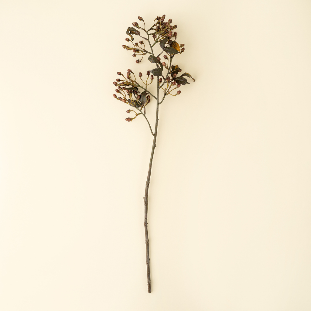 Hipericum Stem - 33"H
