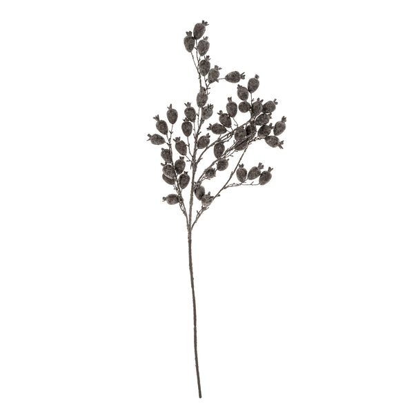 Dried Berry Branch