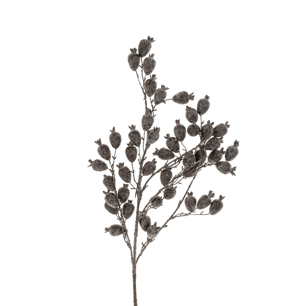 Dried Berry Branch