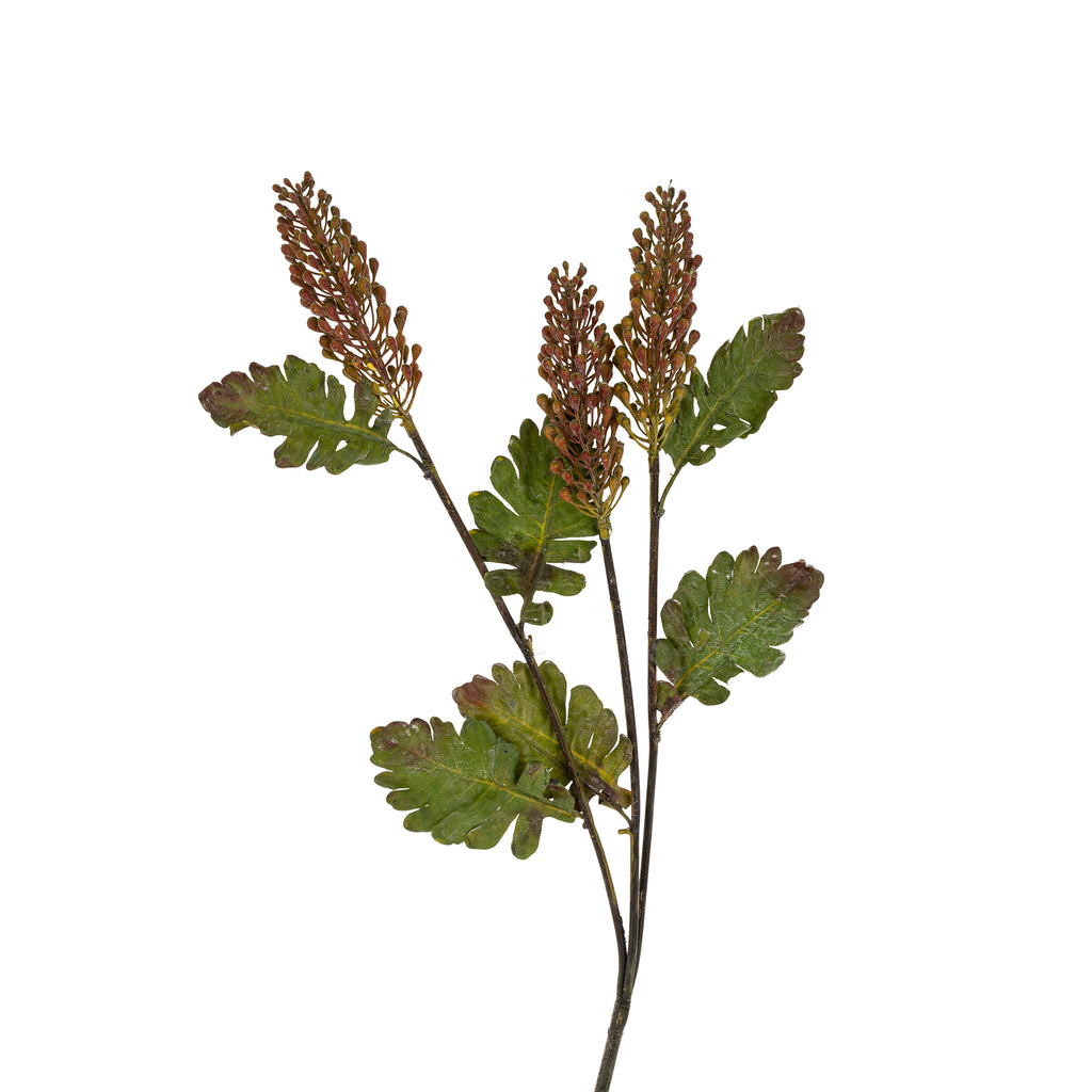 Astilbe Floral Stem