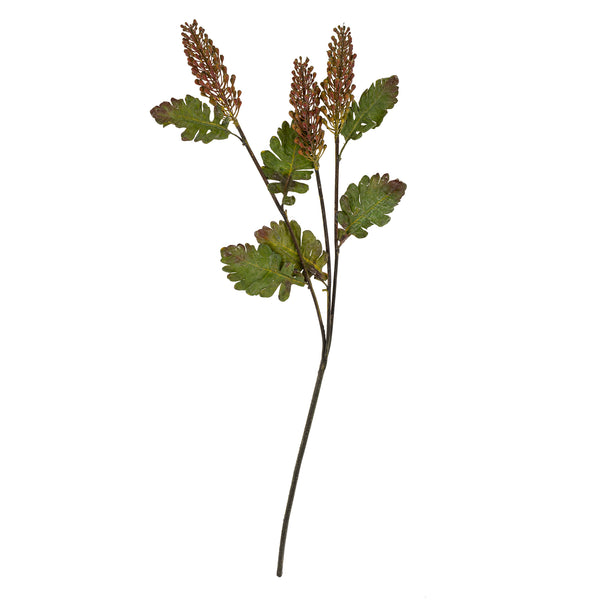 Astilbe Floral Stem