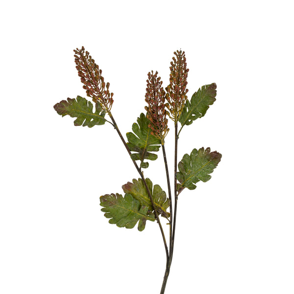 Astilbe Floral Stem