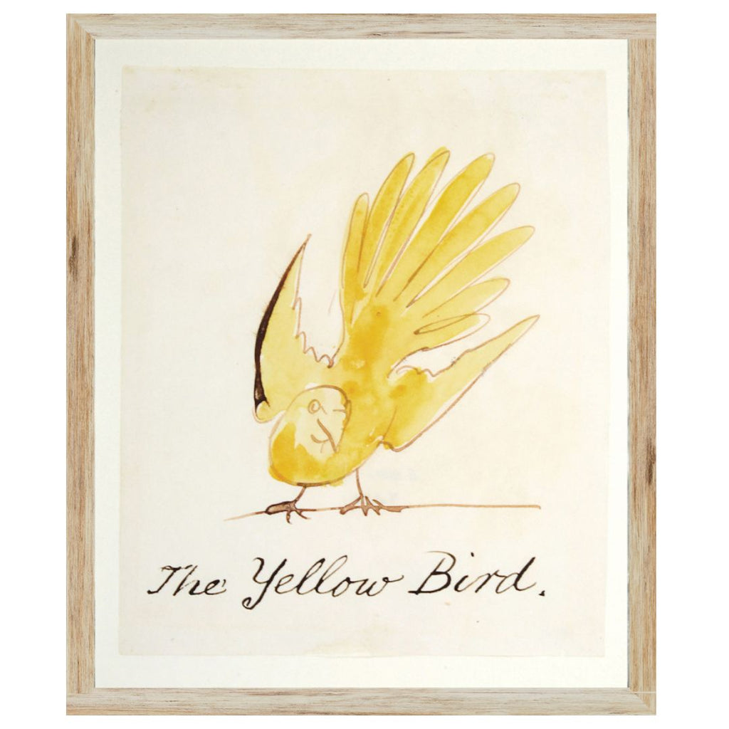 Edward Lear's Bird Prints - Eight Styles Available