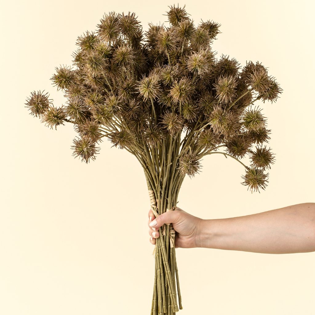 Chestnut Ball Stem (Two Colours Available)