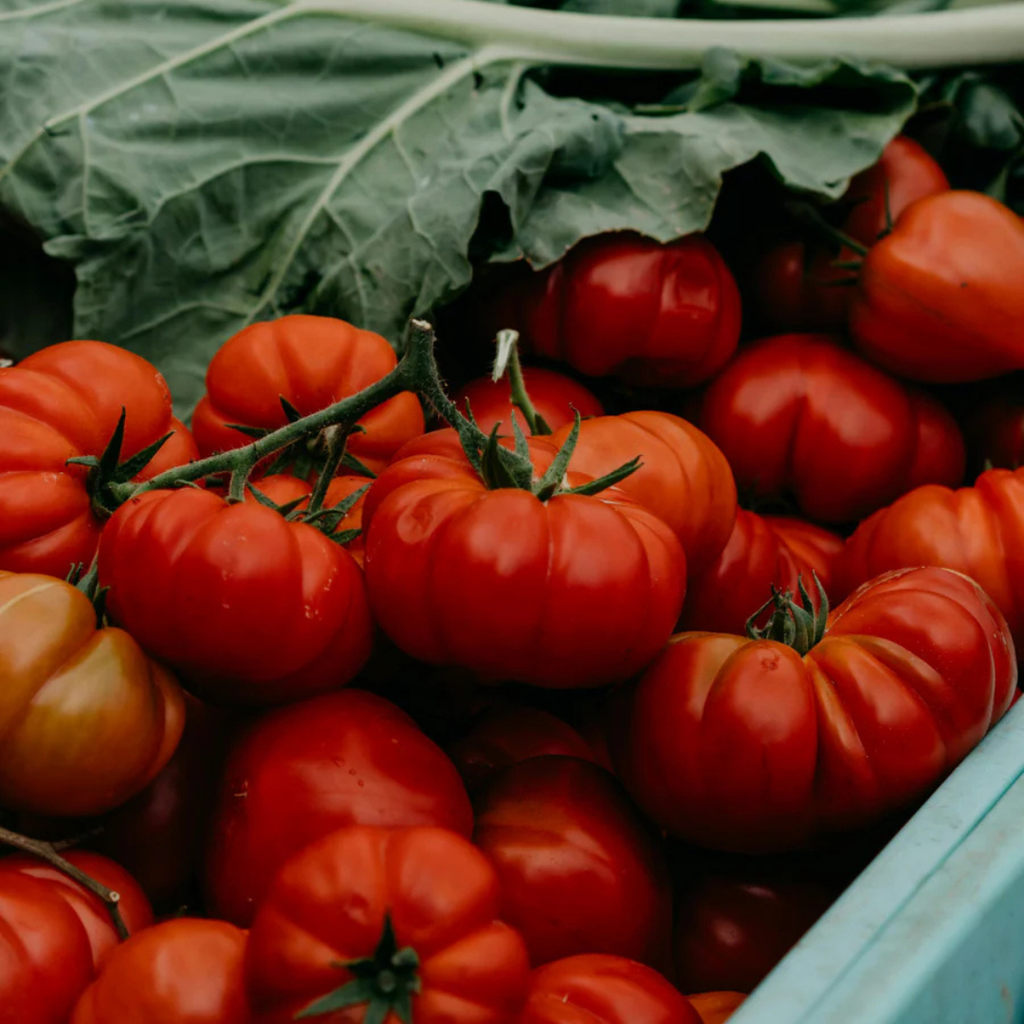 Greenhouse Coconut Soy Candle