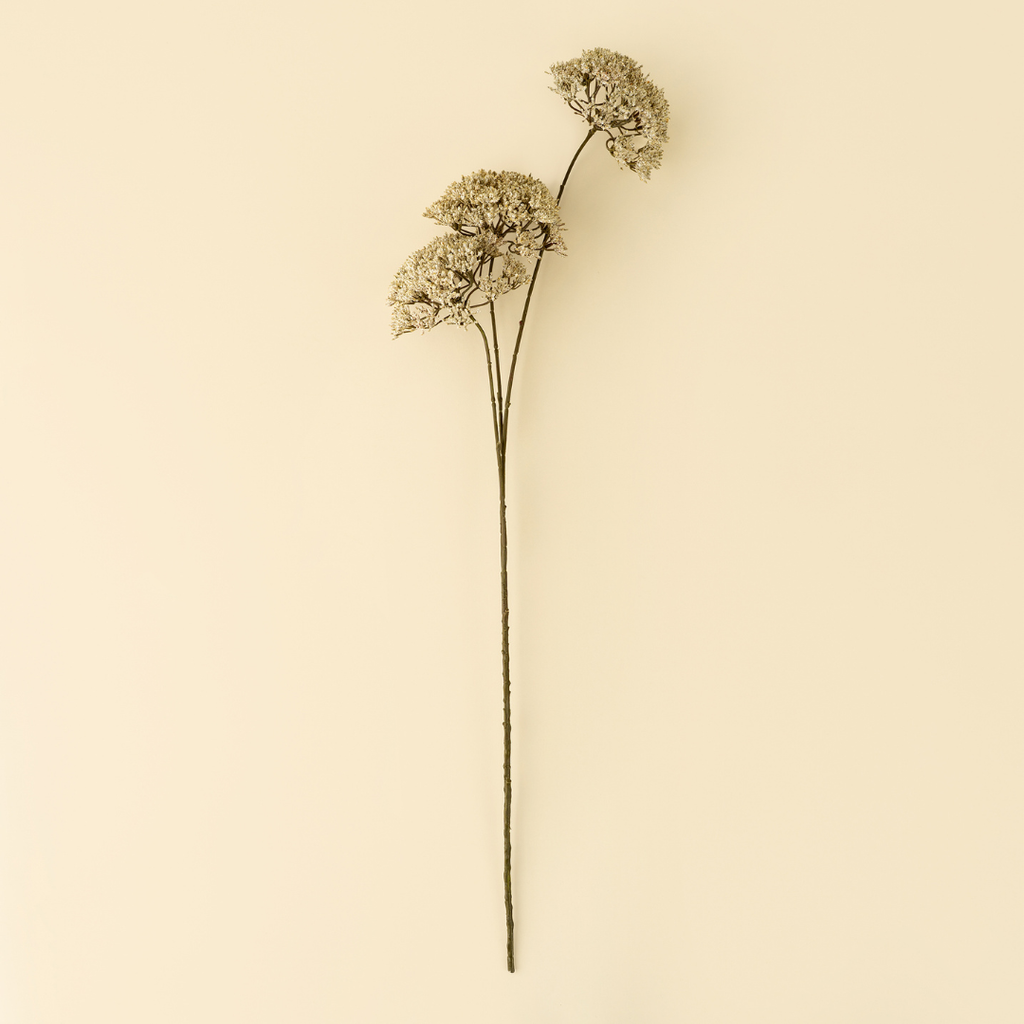 Queen Anne's Lace Stem - 34"H