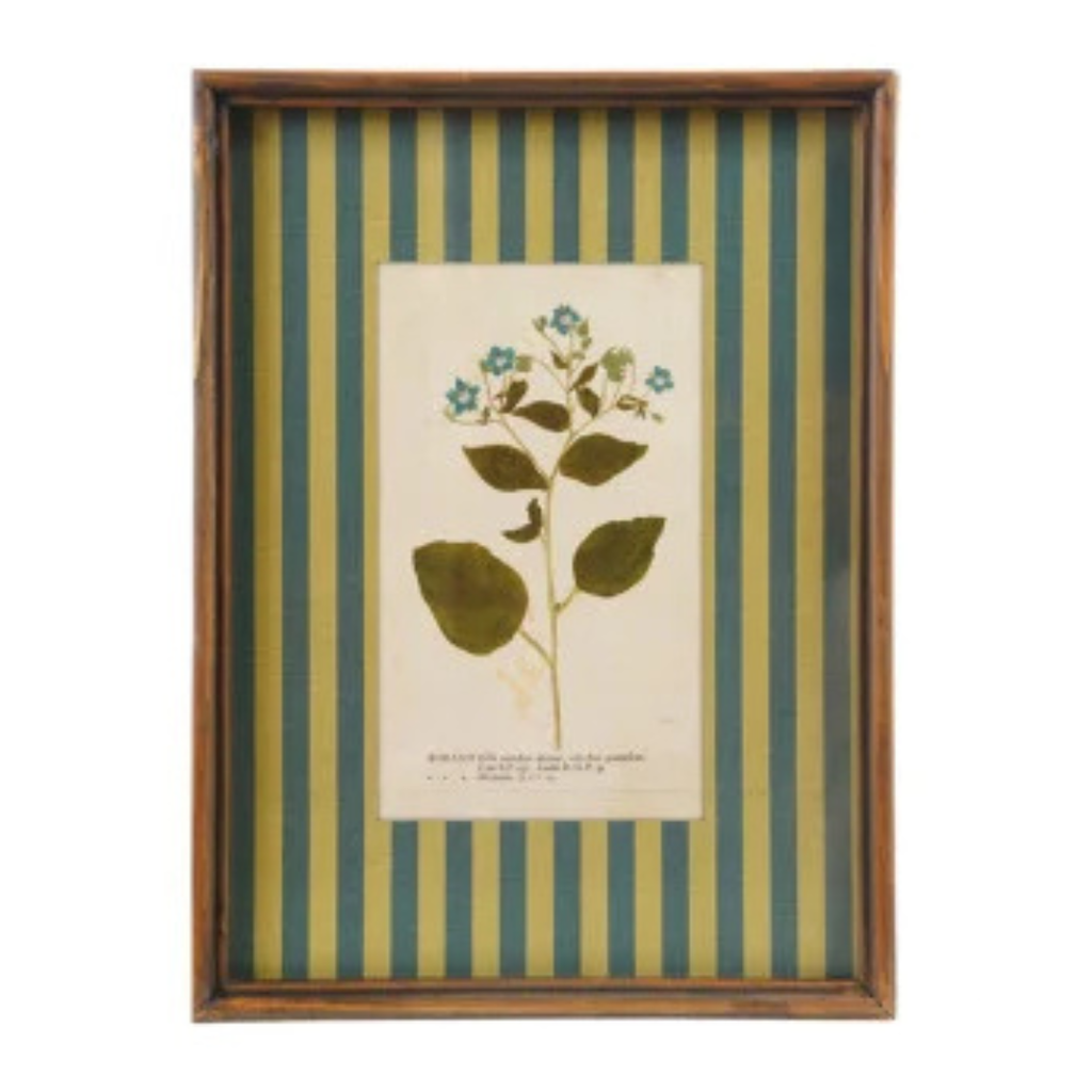 Framed Stripe Botanical Prints - Nine Styles Available