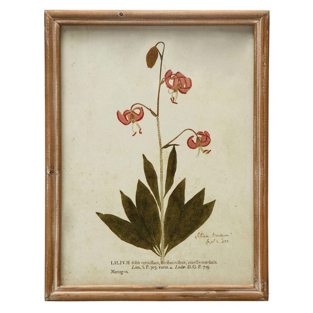 Framed Wildflower Prints - Six Styles Available