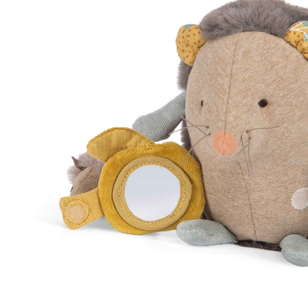 Activity Hedgehog Soft Toy