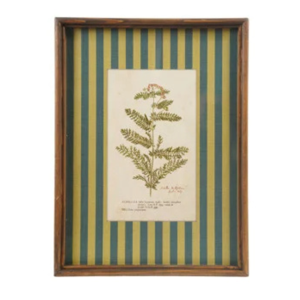 Framed Stripe Botanical Prints - Nine Styles Available