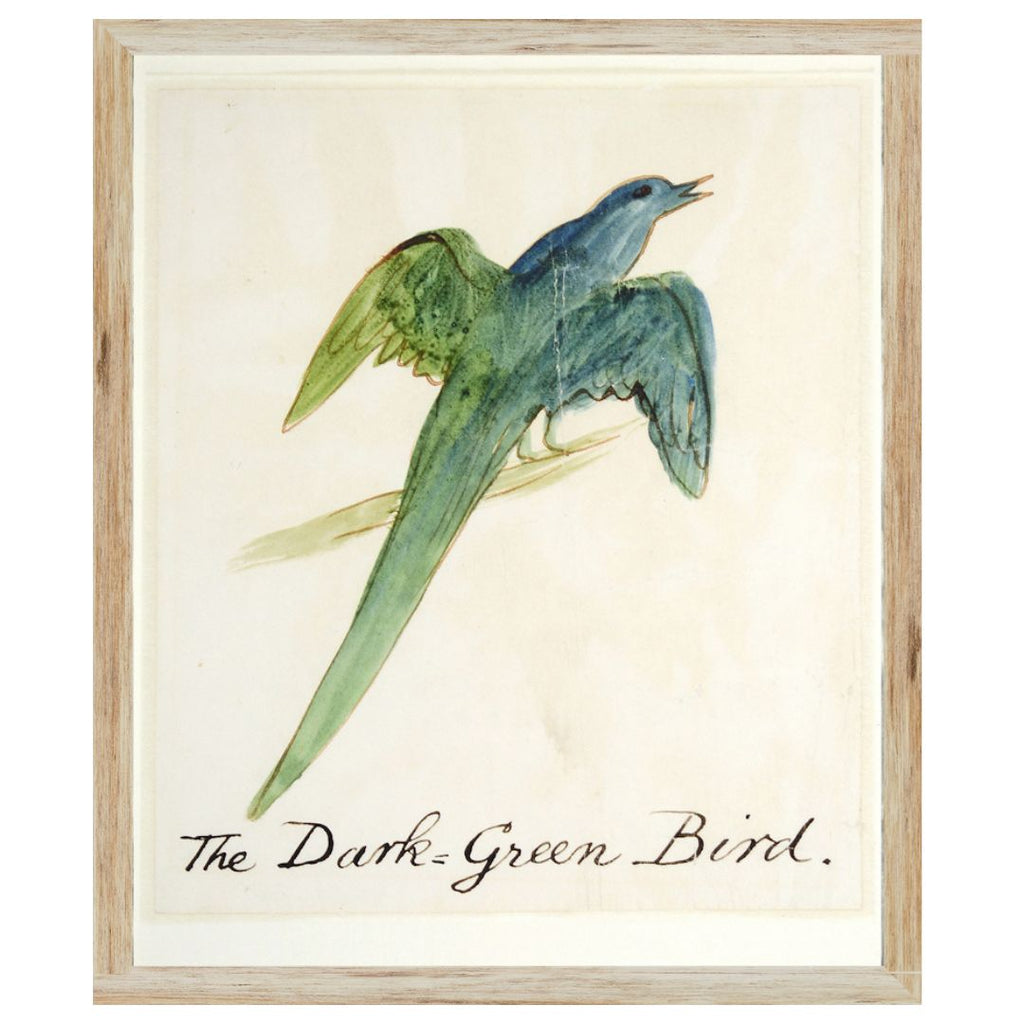 Edward Lear's Bird Prints - Eight Styles Available