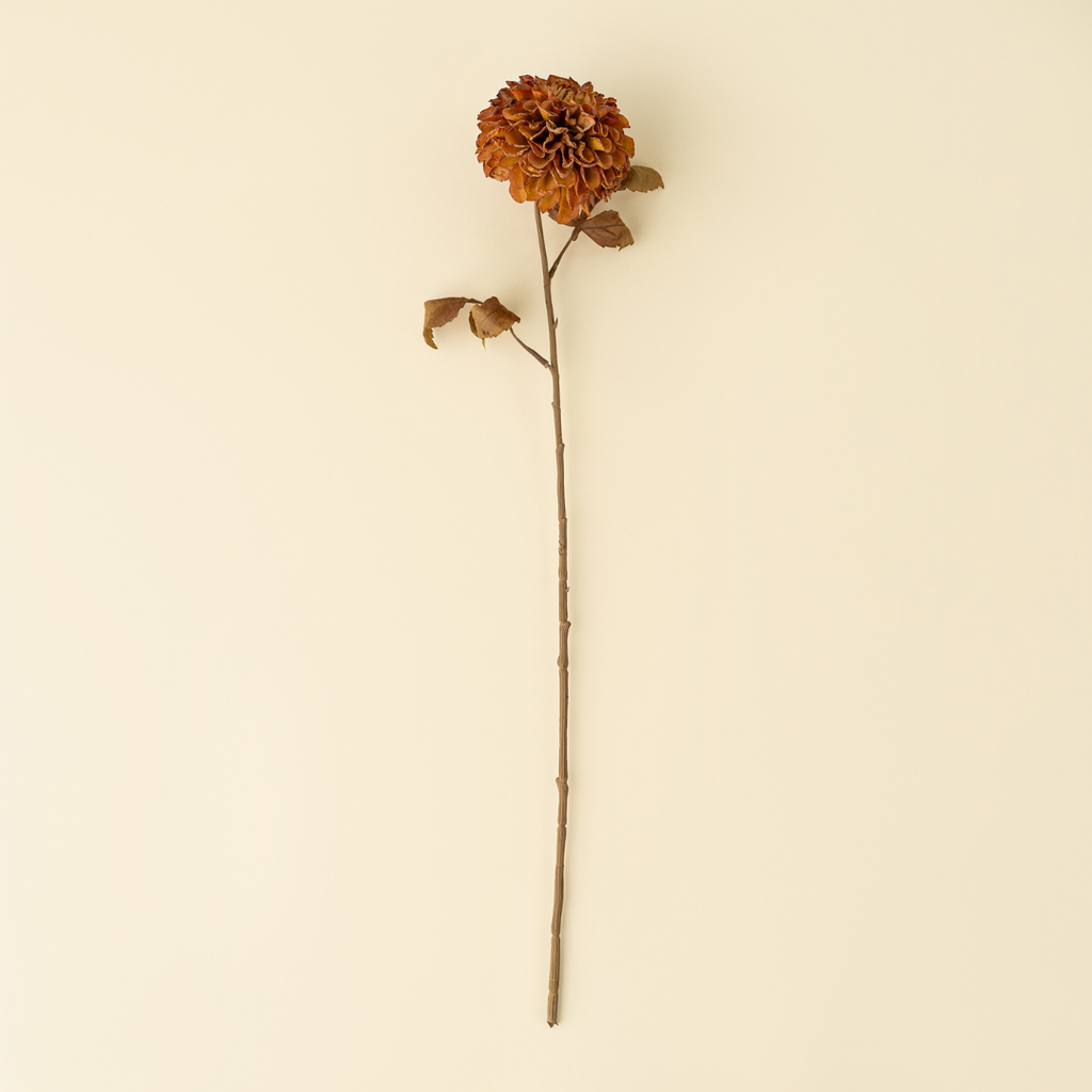 Pompom Dahlia Stem - 28"H