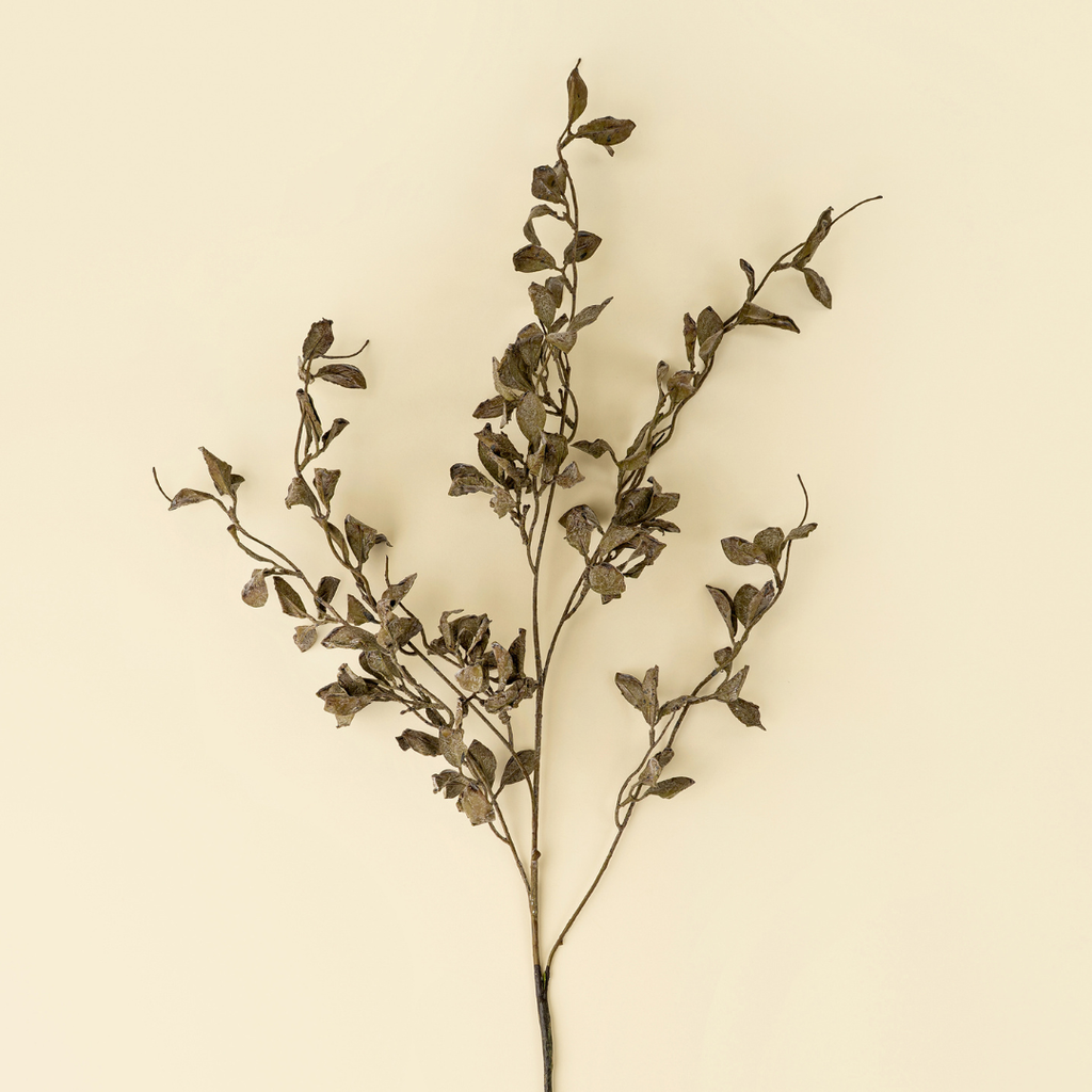 Smoked Eucalyptus Stem - 36"H