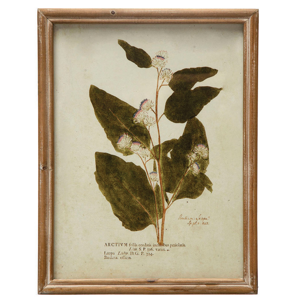 Framed Wildflower Prints - Six Styles Available