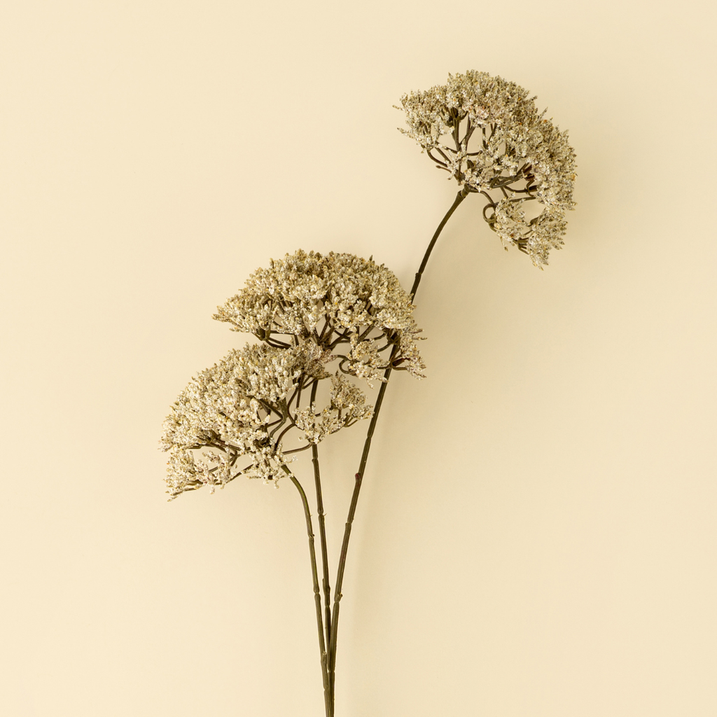 Queen Anne's Lace Stem - 34"H