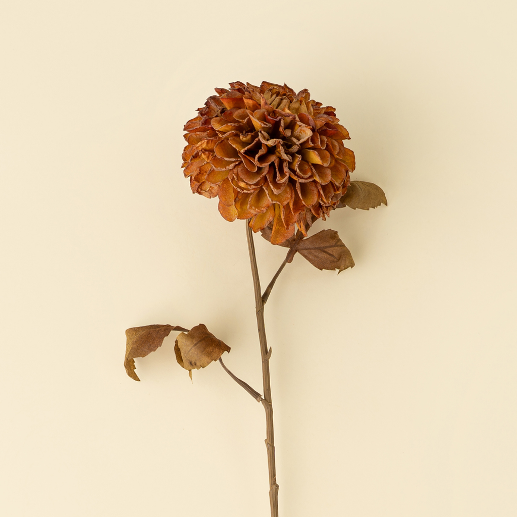 Pompom Dahlia Stem - 28"H