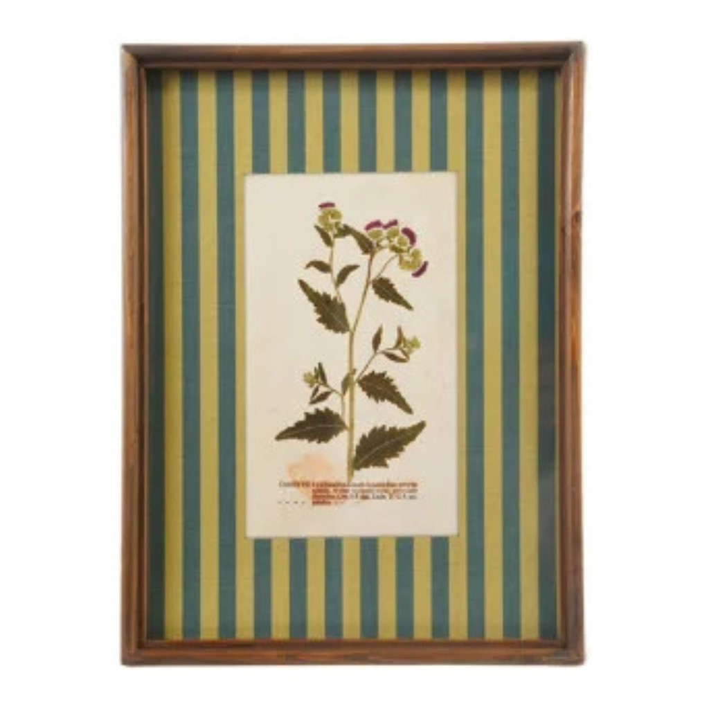 Framed Stripe Botanical Prints - Nine Styles Available