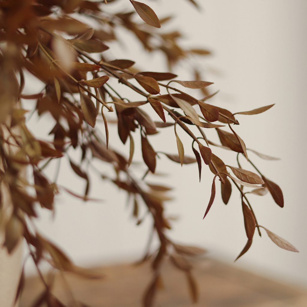 Willow Leaf Stem - 18"H (Two Colours Available)