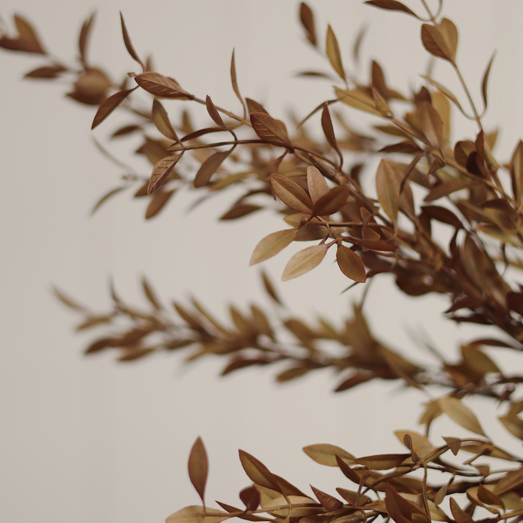 Willow Leaf Stem - 18"H (Two Colours Available)