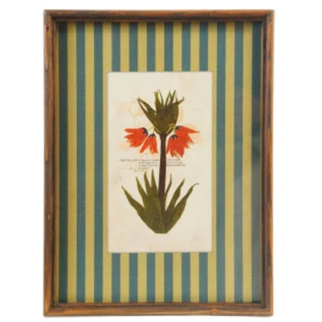 Framed Stripe Botanical Prints - Nine Styles Available