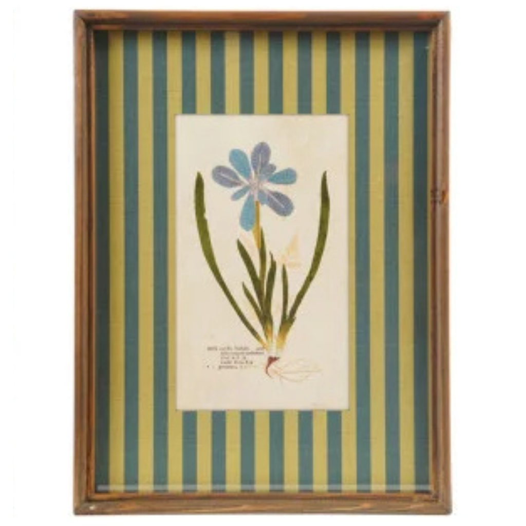 Framed Stripe Botanical Prints - Nine Styles Available